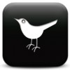 Twitter Bird logo grayscale